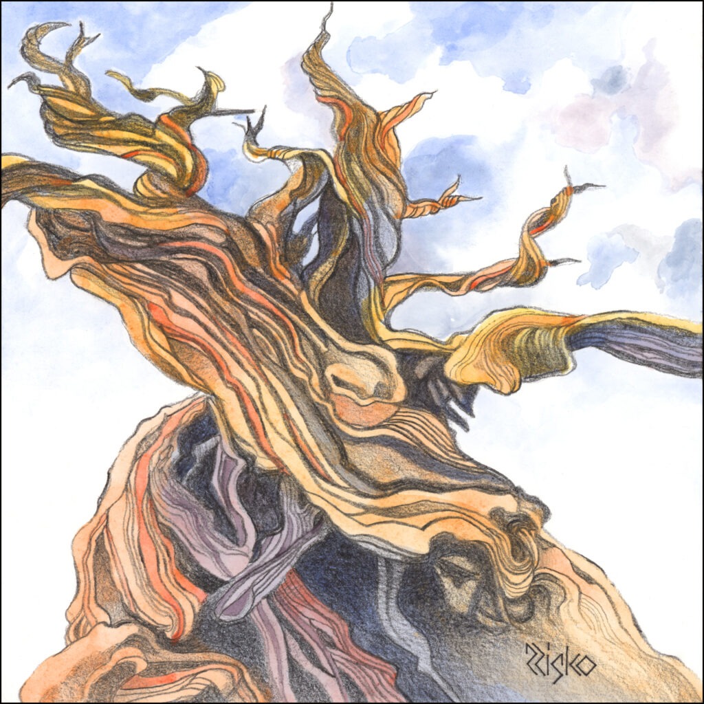 Looking Up / Resolvere - a semiabstract painting of the Bristlecone Pine. Artworks by Russell Risko.